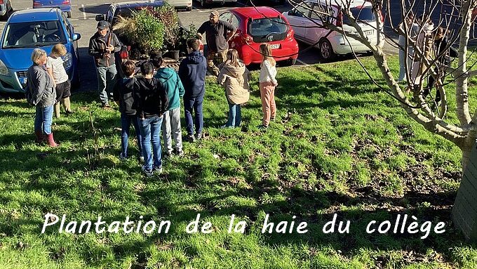 haie.jpeg