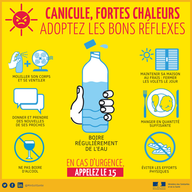 PLAN CANICULE.png